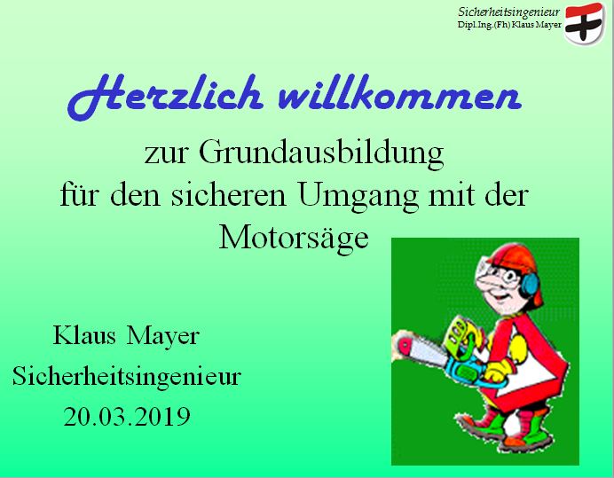 Motorsäge